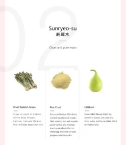 Dynasty Cream -Glow Skincare Store BeautyofJoseonDynastyCream50ml6