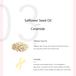 Dynasty Cream -Glow Skincare Store BeautyofJoseonDynastyCream50ml7