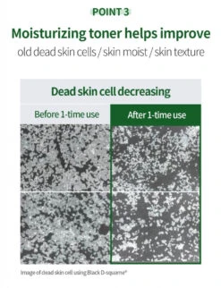 Aloe BHA Skin Toner (200ml) -Glow Skincare Store BentonAloeBHASkinToner200ml11