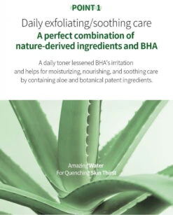 Aloe BHA Skin Toner (200ml) -Glow Skincare Store BentonAloeBHASkinToner200ml7