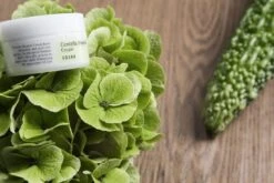 Cosrx Centella Blemish Cream (30ml) -Glow Skincare Store Cosrx Centella Blemish Cream 3