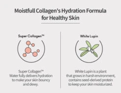 Moistfull Collagen Cream (75ml) -Glow Skincare Store EtudeHouseMoistfullCollagenCream4