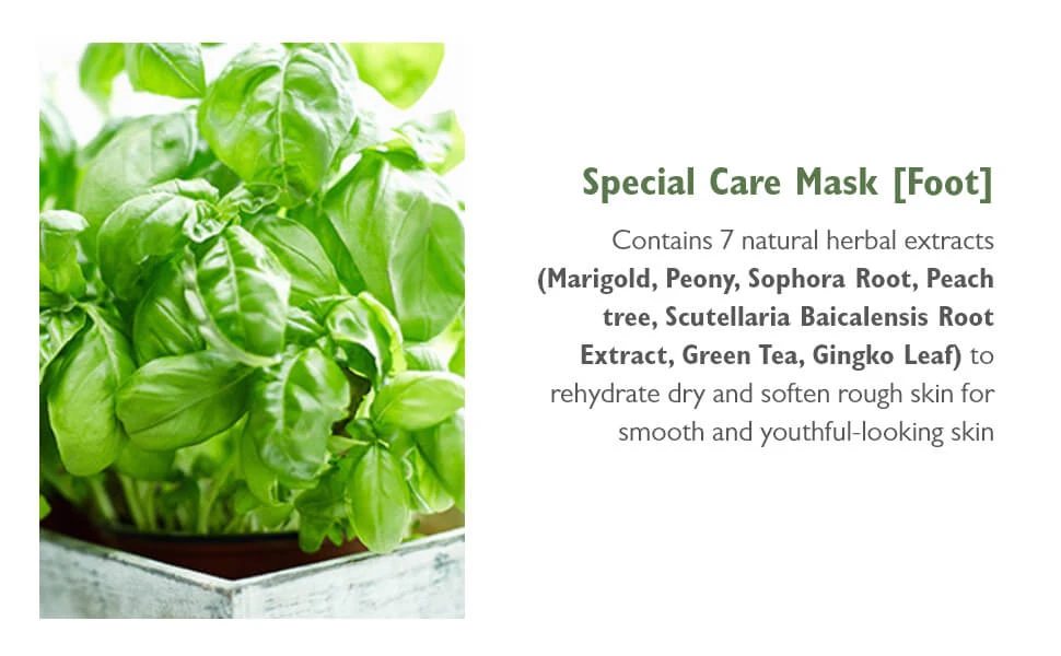 Innisfree Special Care Foot Mask (1pc) 7 Innisfree Special Care Foot Mask (1pc) - Image 5