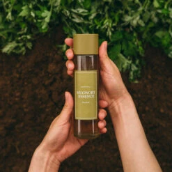 Mugwort Essence (160ml) -Glow Skincare Store I mFromMugwortEssence 160ml 7