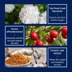 Intensive Repair Cream (50ml) -Glow Skincare Store IntensiveRepairCreambyPYUNKANGYUL 50ml 4