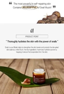 All In One Snail Repair Cream (75ml) 11 All In One Snail Repair Cream (75ml) -Glow Skincare Store MIZONAllInOneSnailRepairCream 75mL 4