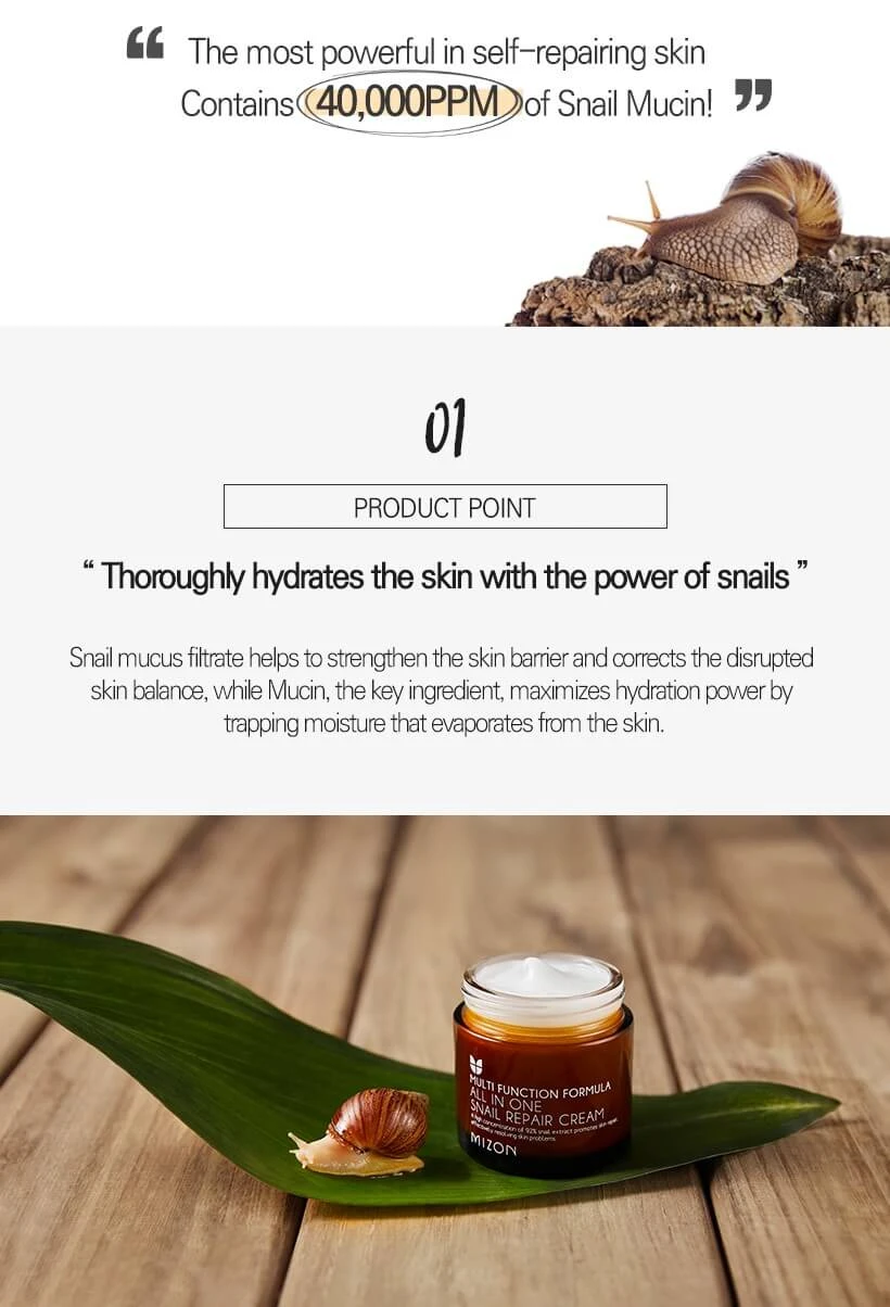 All In One Snail Repair Cream (75ml) 6 All In One Snail Repair Cream (75ml) - Image 4