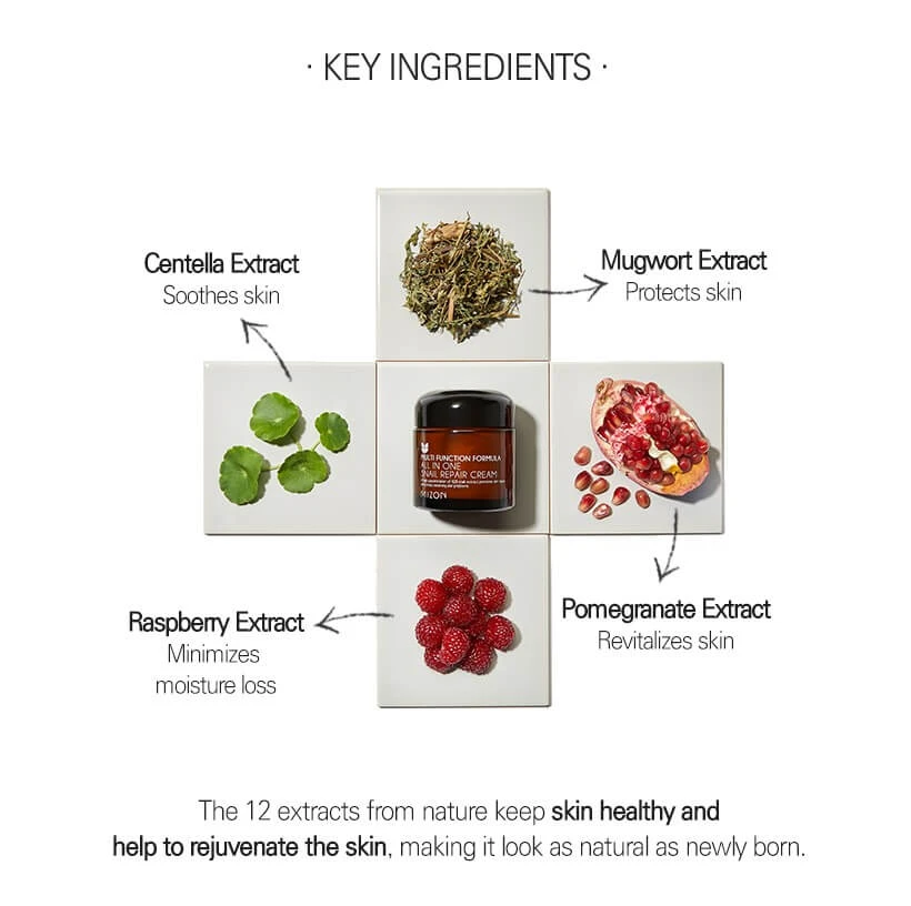 All In One Snail Repair Cream (75ml) 8 All In One Snail Repair Cream (75ml) - Image 6