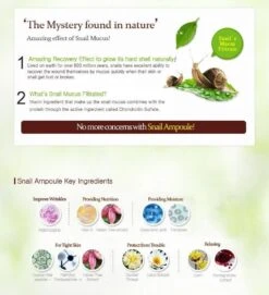 Snail Repair Intensive Ampoule (30ml) -Glow Skincare Store MIZONSnailRepairIntensiveAmpoule4