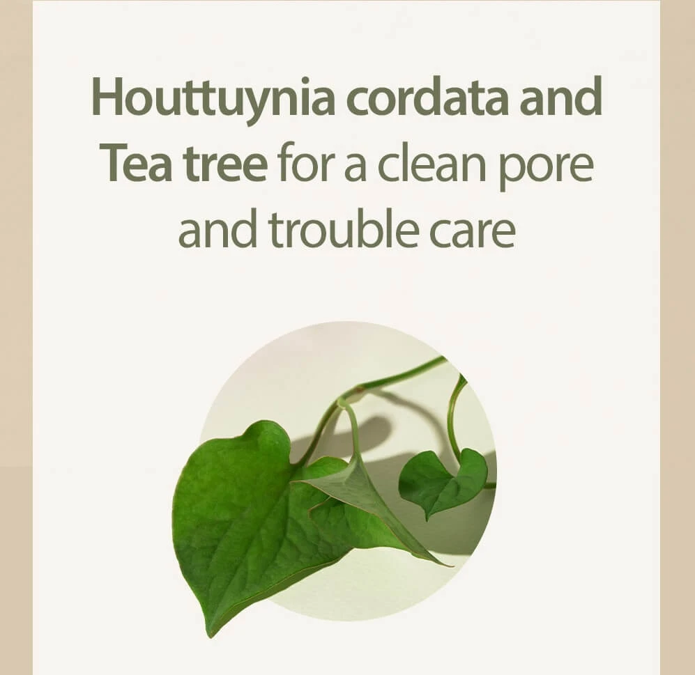 Houttuynia Cordata + Tea Tree Serum (30ml) 6 Houttuynia Cordata + Tea Tree Serum (30ml) - Image 4