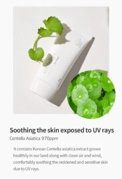Centella Sun Cream (50g) 15 Centella Sun Cream (50g) -Glow Skincare Store MixsoonCentellaSunCream 50g 6
