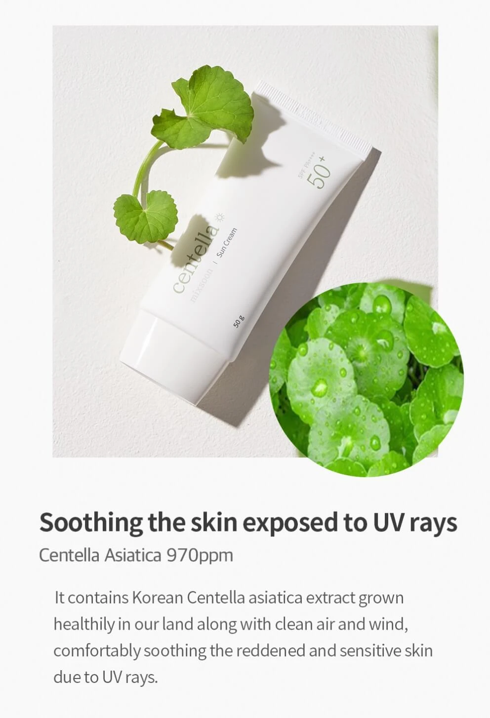 Centella Sun Cream (50g) 8 Centella Sun Cream (50g) - Image 6