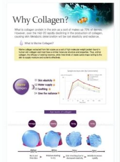 Collagen Power Firming Eye Cream (25ml) -Glow Skincare Store MizonCollagenPowerFirmingEyeCream 25ml 5