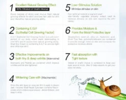 Snail Repair Eye Cream (25ml) -Glow Skincare Store MizonSnailRepairEyeCream 25mL 4