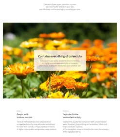 Fresh Herb Origin Toner (150ml) -Glow Skincare Store Nacific Fresh Herb Origin Toner 150ml 4