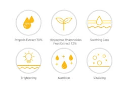 Propolis Vitamin Synergy Serum (50ml) -Glow Skincare Store Propolis Vitamin Synergy Serum 4