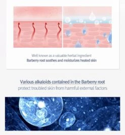 Mist Toner -Glow Skincare Store PyunkangYulMistToner200ml8