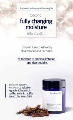 Moisture Cream (100ml) -Glow Skincare Store Pyunkang Yul Moisture Cream 100ml 5