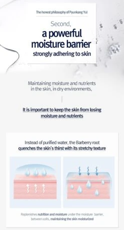 Moisture Ampoule (100ml) -Glow Skincare Store Pyunkang Yul Moisture Ampoule 100ml 6