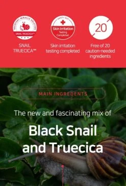 Snail Truecica Miracle Repair Serum (50ml) -Glow Skincare Store SOME BY MI Snail Truecica Miracle Repair Serum 3