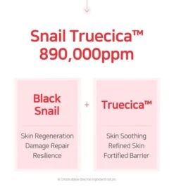 Snail Truecica Miracle Repair Serum (50ml) -Glow Skincare Store SOME BY MI Snail Truecica Miracle Repair Serum 4