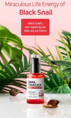 Snail Truecica Miracle Repair Serum (50ml) -Glow Skincare Store SOME BY MI Snail Truecica Miracle Repair Serum 6