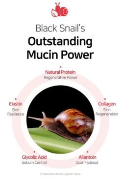 Snail Truecica Miracle Repair Serum (50ml) -Glow Skincare Store SOME BY MI Snail Truecica Miracle Repair Serum 7