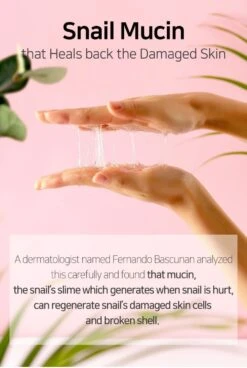 Snail Truecica Miracle Repair Serum (50ml) -Glow Skincare Store SOME BY MI Snail Truecica Miracle Repair Serum 8