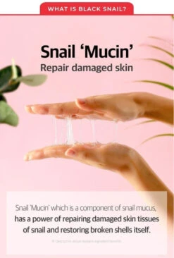 Snail Truecica Miracle Repair Toner (150ml) -Glow Skincare Store SOME BY MI Snail Truecica Miracle Repair Toner 6