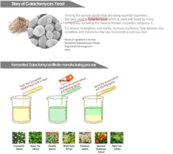 Starting Treatment Essence (155ml) -Glow Skincare Store SecretKeyStartingTreatmentEssence 155ml 4