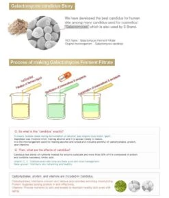 Starting Treatment Essence - Rose Edition (150ml) -Glow Skincare Store Secret Key Starting Treatment Essence Rose Edition 5