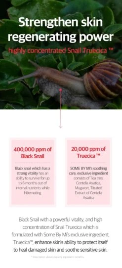 Snail Truecica Miracle Repair Cream (60g) -Glow Skincare Store SnailTruecicaMiracleRepairCream 60g 4