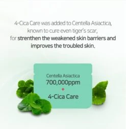 AHA, BHA, PHA 30 Days Miracle Cream (60ml) -Glow Skincare Store SomeByMiAHA BHA PHA30DaysMiracleCream50mL4