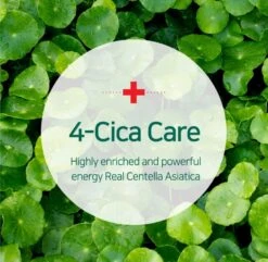 AHA, BHA, PHA 30 Days Miracle Cream (60ml) -Glow Skincare Store SomeByMiAHA BHA PHA30DaysMiracleCream50mL5