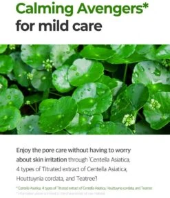 Super Matcha Pore Tightening Serum (50ml) 17 Super Matcha Pore Tightening Serum (50ml) -Glow Skincare Store SomeByMiSuperMatchaPoreTighteningSerum 50ml 7