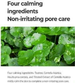 Super Matcha Pore Tightening Toner (150ml) -Glow Skincare Store SomeByMiSuperMatchaPoreTighteningToner 150ml 9