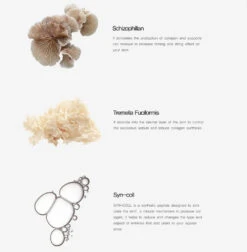 Time Stop Collagen Ampoule (30ml) 8 Time Stop Collagen Ampoule (30ml) -Glow Skincare Store ThePlantBaseTimeStopCollagenAmpoule30ml3