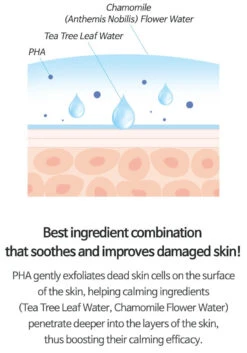 AC Fighting PHA 12 Purifying Liquid (80ml) -Glow Skincare Store TiamACFightingPHA12PurifyingLiquid 80ml 12